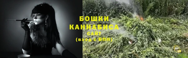 сатива Армянск