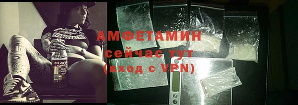сатива Армянск