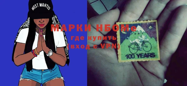 шишки Арсеньев
