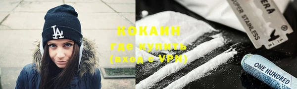 шишки Арсеньев