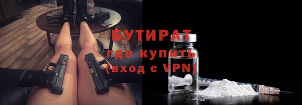 шишки Арсеньев