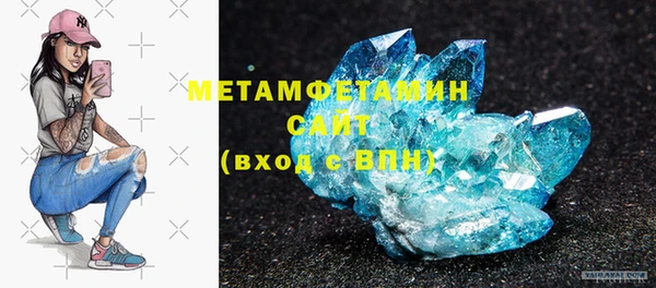 шишки Арсеньев