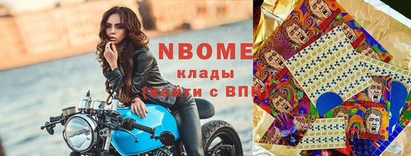 шишки Арсеньев