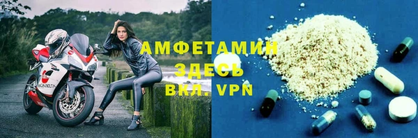 шишки Арсеньев