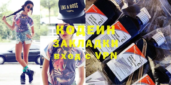 шишки Арсеньев