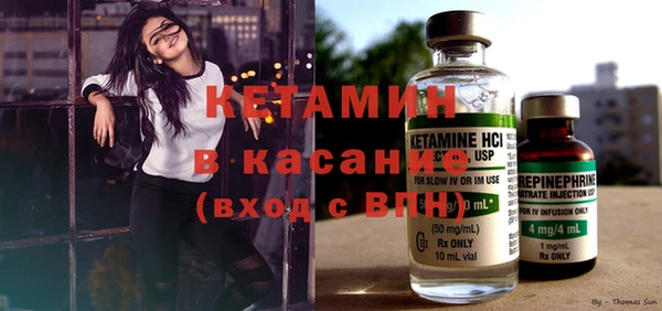шишки Арсеньев