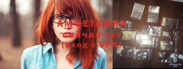 сатива Армянск