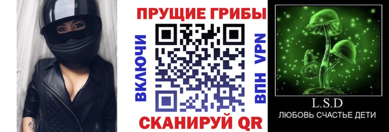 Псилоцибиновые грибы прущие грибы Островной
