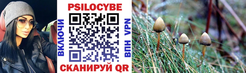 Галлюциногенные грибы Cubensis  OMG онион  Островной 